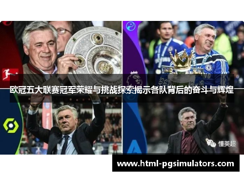 欧冠五大联赛冠军荣耀与挑战探索揭示各队背后的奋斗与辉煌