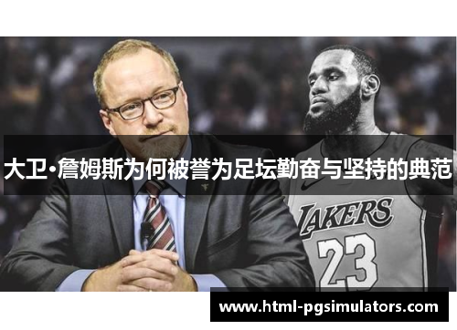 大卫·詹姆斯为何被誉为足坛勤奋与坚持的典范