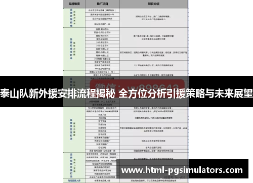 泰山队新外援安排流程揭秘 全方位分析引援策略与未来展望
