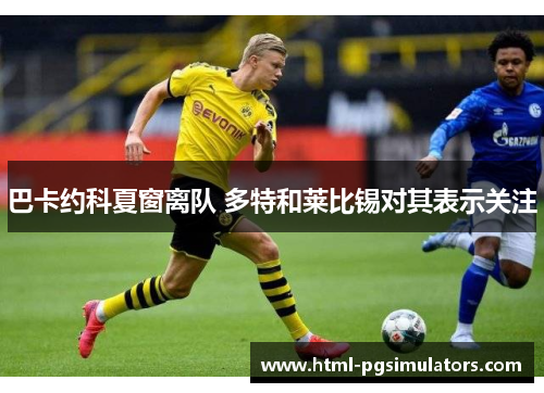 巴卡约科夏窗离队 多特和莱比锡对其表示关注