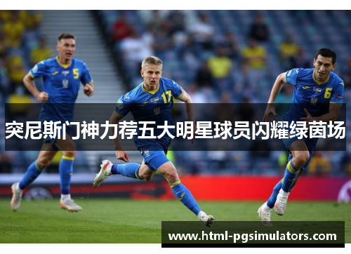 突尼斯门神力荐五大明星球员闪耀绿茵场