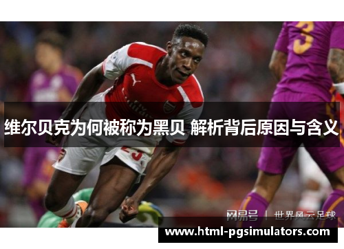 维尔贝克为何被称为黑贝 解析背后原因与含义