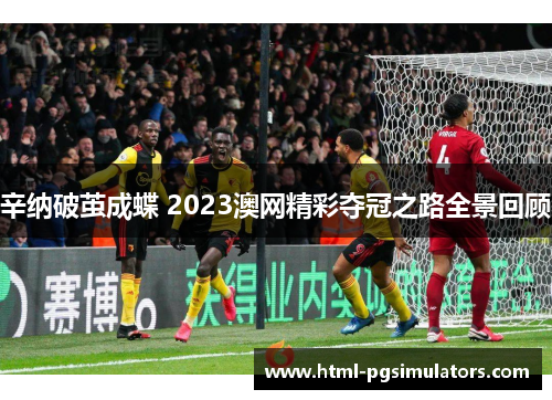 辛纳破茧成蝶 2023澳网精彩夺冠之路全景回顾