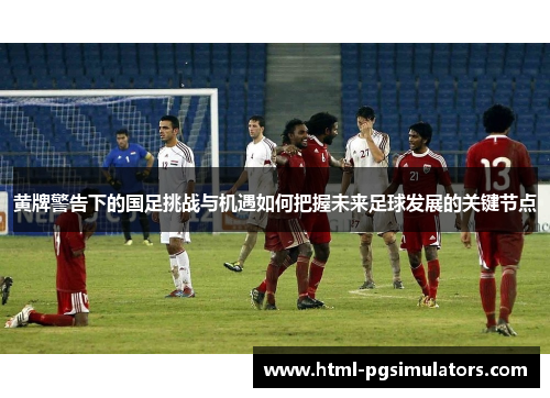 黄牌警告下的国足挑战与机遇如何把握未来足球发展的关键节点