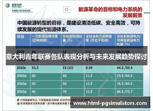 意大利青年联赛各队表现分析与未来发展趋势探讨