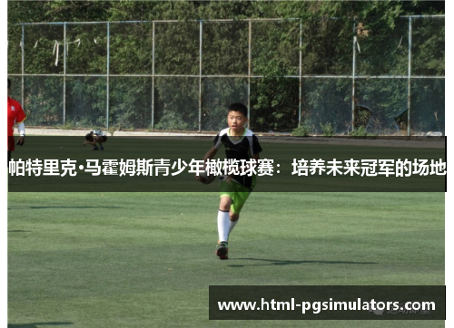 帕特里克·马霍姆斯青少年橄榄球赛：培养未来冠军的场地