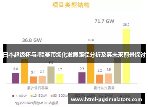 日本超级杯与J联赛市场化发展路径分析及其未来前景探讨