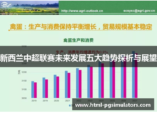 新西兰中超联赛未来发展五大趋势探析与展望