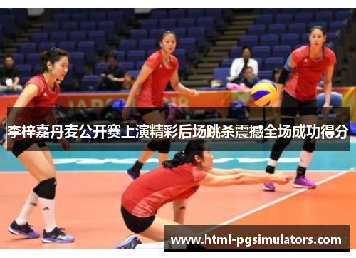 李梓嘉丹麦公开赛上演精彩后场跳杀震撼全场成功得分