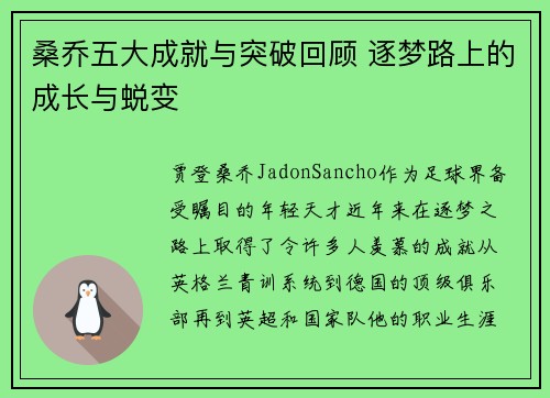 桑乔五大成就与突破回顾 逐梦路上的成长与蜕变